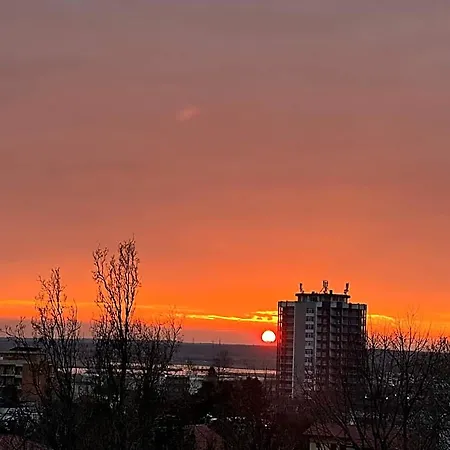 Venus Constanta